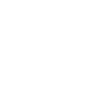 icons8-parchment-100